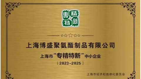 公司營收突破8000萬，被上海市經濟和信息化委員會評定為“專精特新”中小企業，公司制定和實施“兩化一增長”的第一個五年計劃。